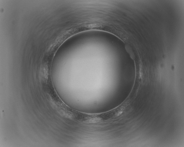 X0000052940210200507081152