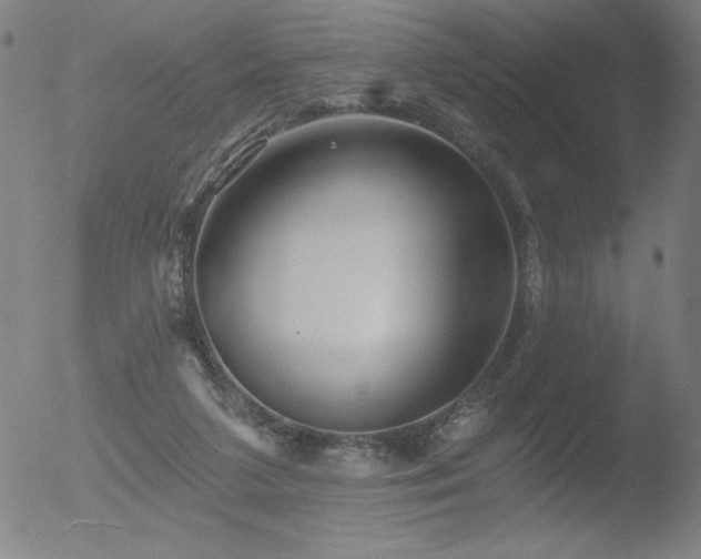 X0000052940211200507081152