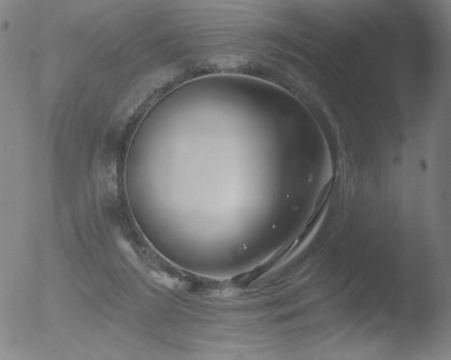 X0000052940212200507081152