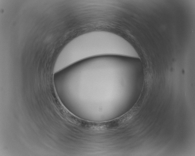 X0000052940213200507081152