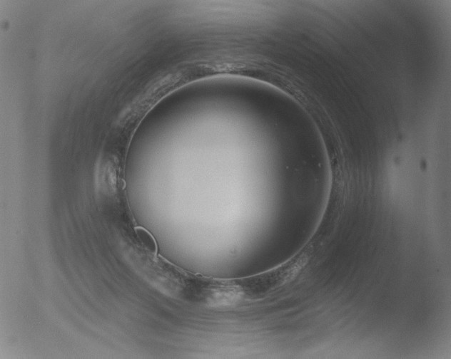 X0000052940214200507081152