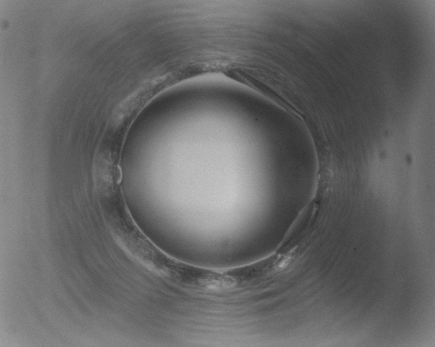 X0000052940215200507081152