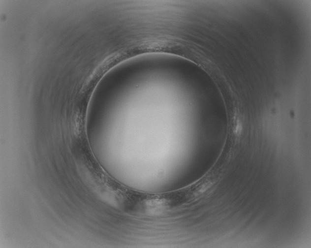 X0000052940216200507081152