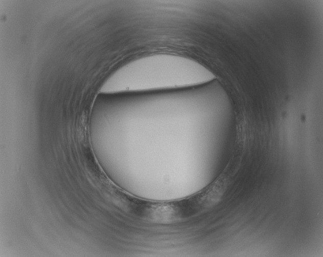 X0000052940218200507081152