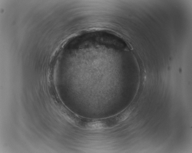 X0000052940219200507081152