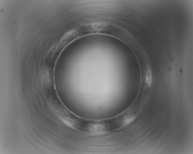 X0000052940220200507081152