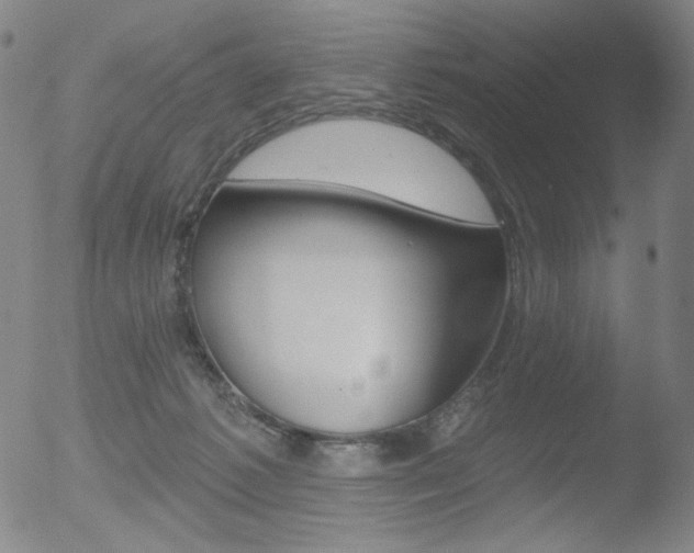 X0000052940221200507081152