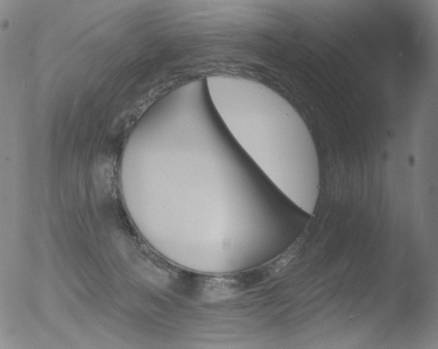 X0000052940222200507081152