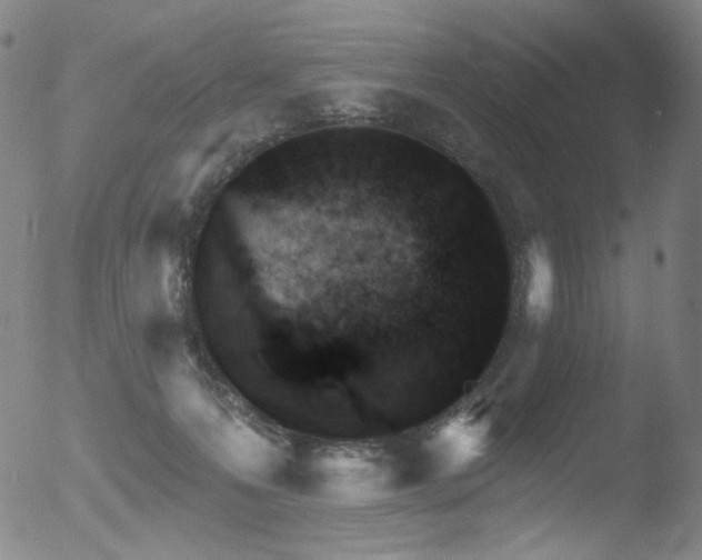 X0000052940223200507081152