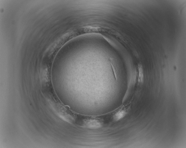 X0000052940224200507081152