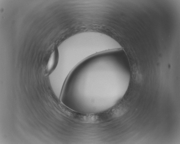 X0000052940225200507081152