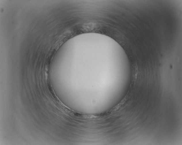 X0000052940226200507081152