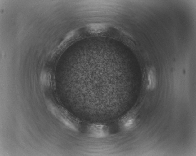 X0000052940227200507081152