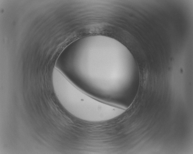 X0000052940228200507081152