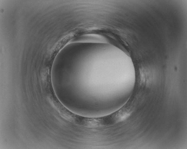 X0000052940229200507081152