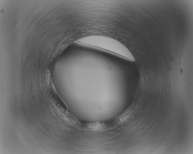 X0000052940231200507081152