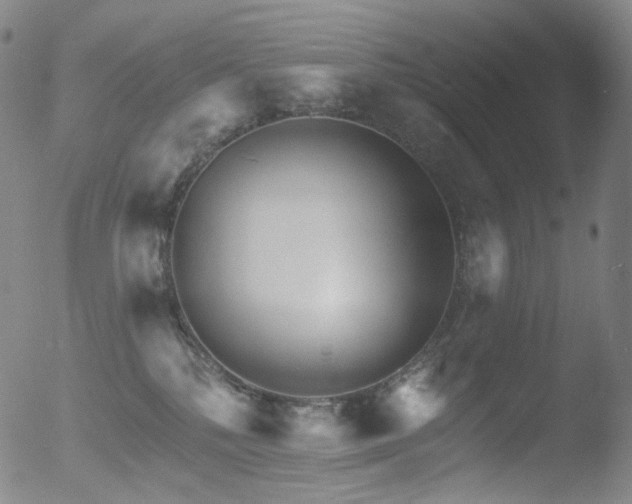 X0000052940232200507081152