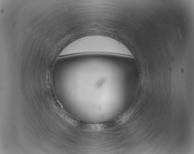 X0000052940233200507081152