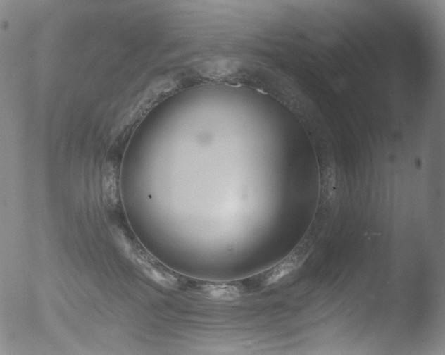 X0000052940234200507081152