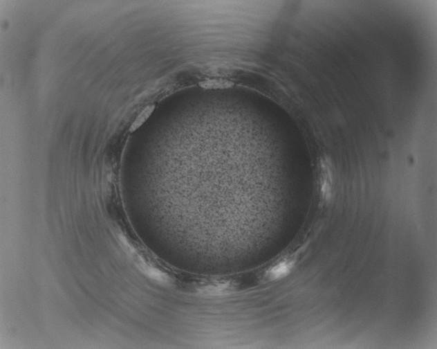 X0000052940235200507081152