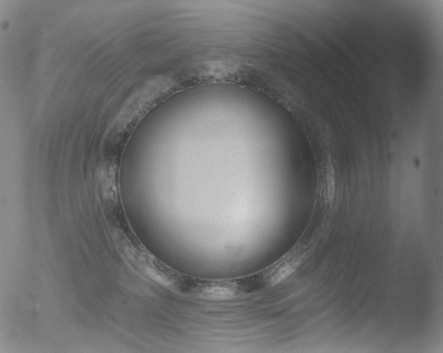 X0000052940236200507081152