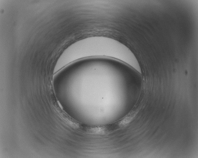 X0000052940237200507081152