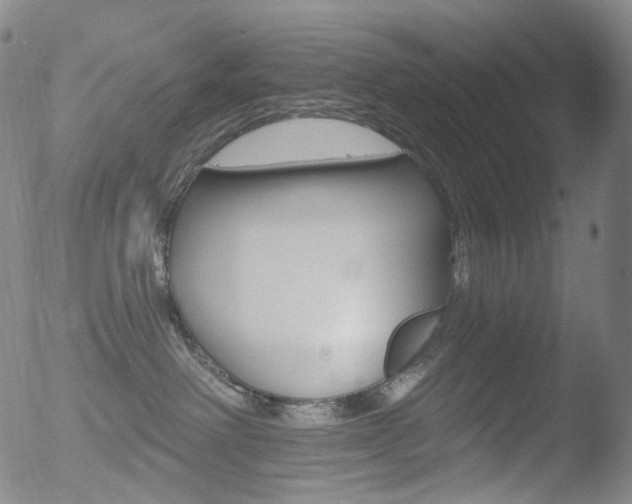 X0000052940238200507081152