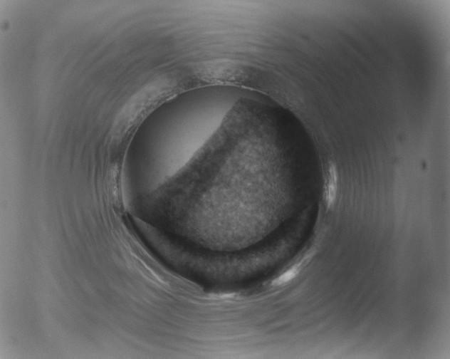 X0000052940239200507081152