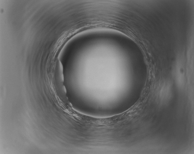 X0000052940241200507081151