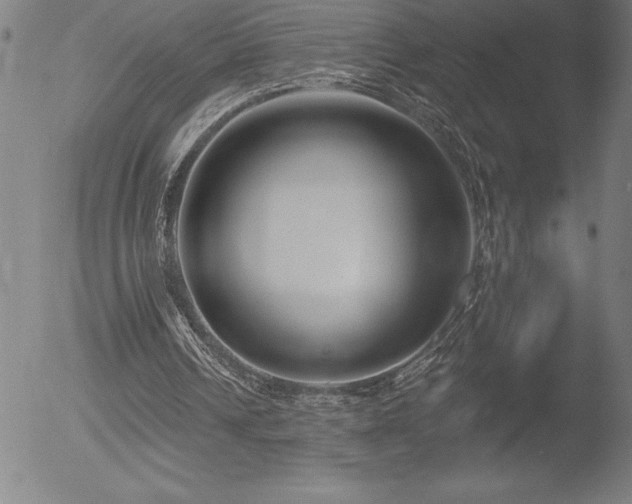 X0000052940242200507081151