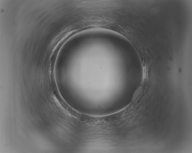 X0000052940243200507081151