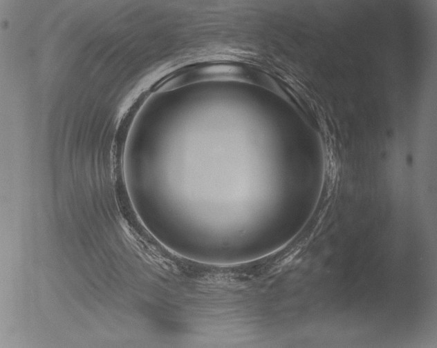 X0000052940244200507081151