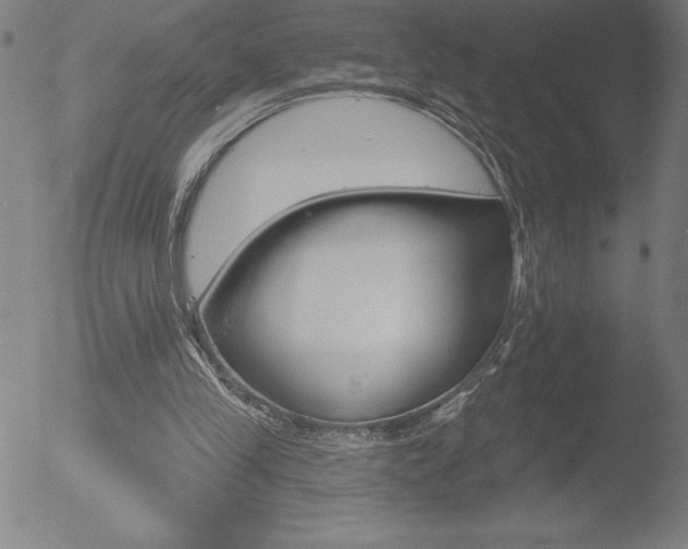 X0000052940245200507081151