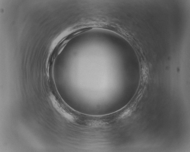 X0000052940246200507081151