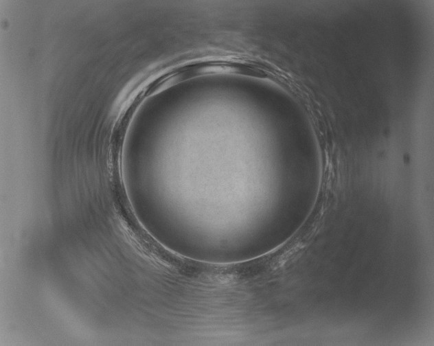 X0000052940247200507081151