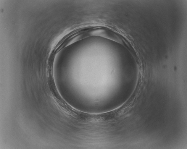 X0000052940248200507081151