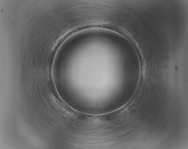 X0000052940249200507081151