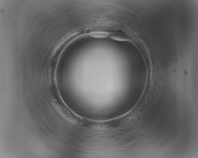 X0000052940250200507081151