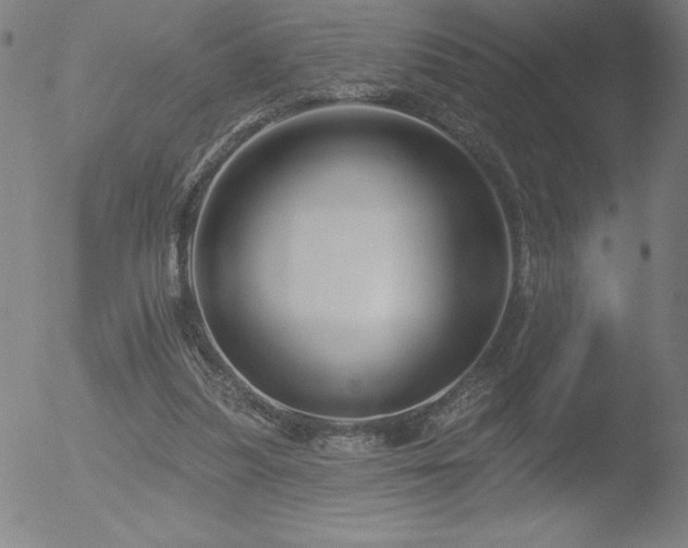 X0000052940251200507081151