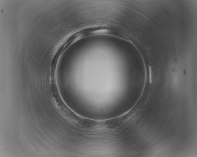 X0000052940252200507081151