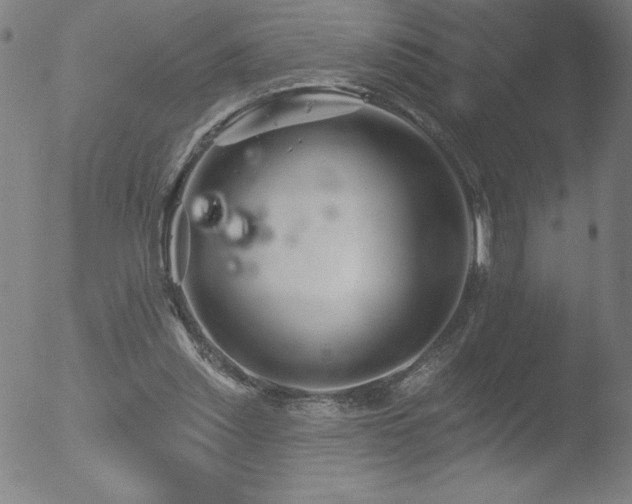 X0000052940253200507081151