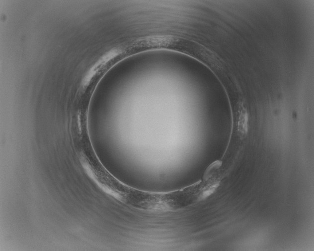 X0000052940254200507081151