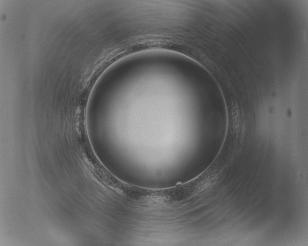 X0000052940255200507081151