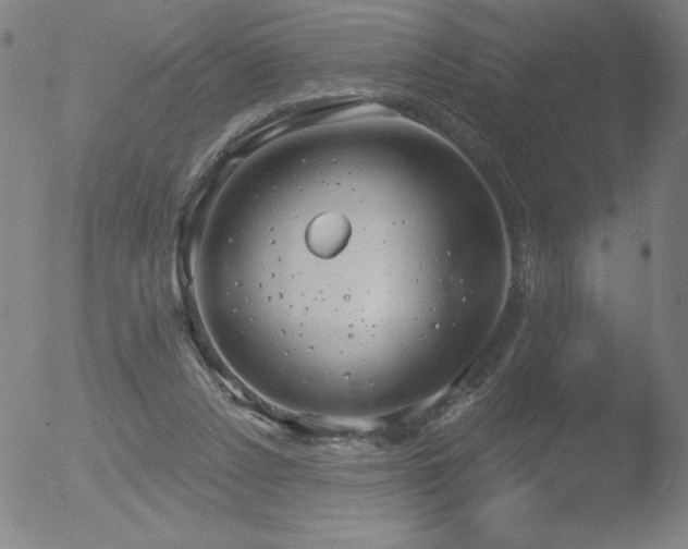 X0000052940256200507081151