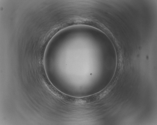 X0000052940257200507081151