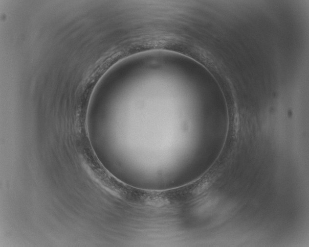 X0000052940258200507081151