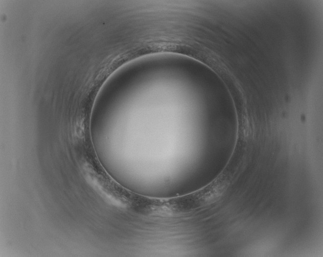 X0000052940259200507081151