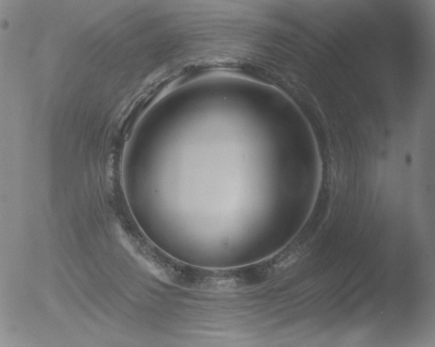 X0000052940260200507081151