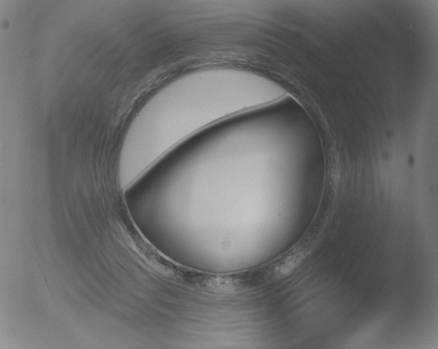 X0000052940261200507081151