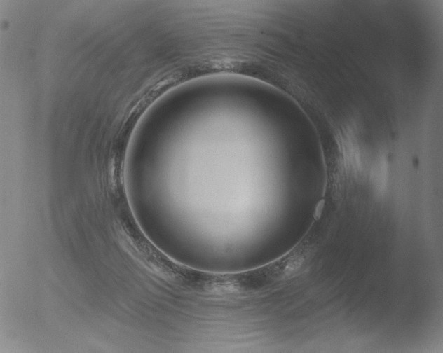 X0000052940262200507081151